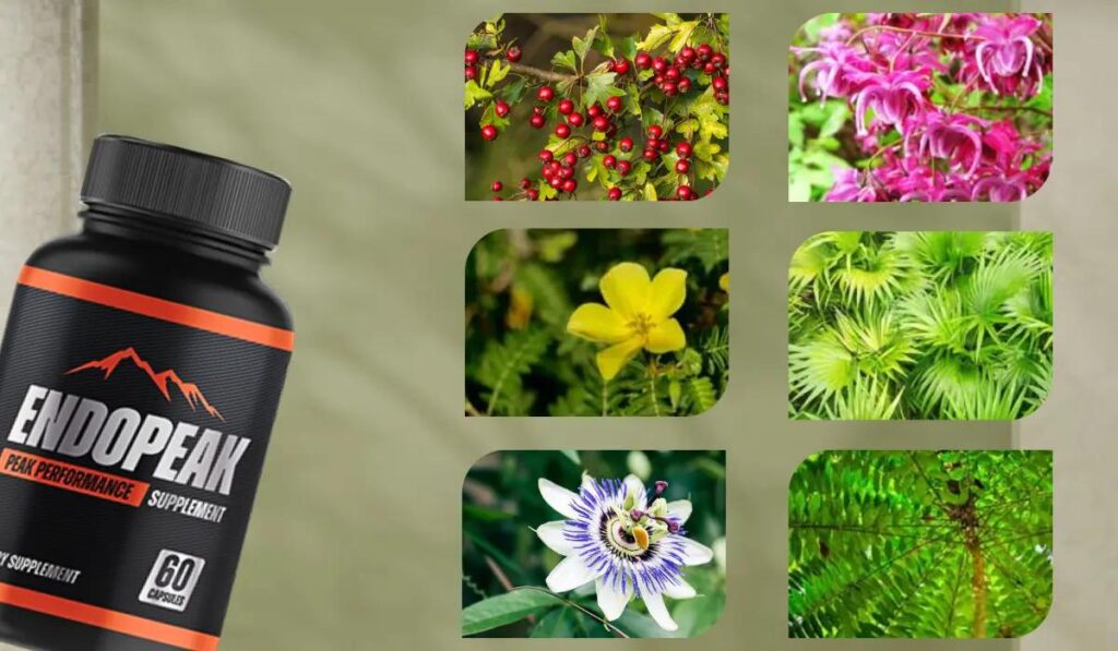 Does EndoPeak really work? Advanced natural solution for men’s energy and performance