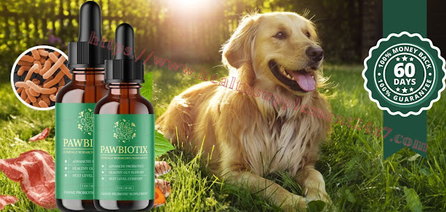 PawBiotix probiotic supplement for dogs